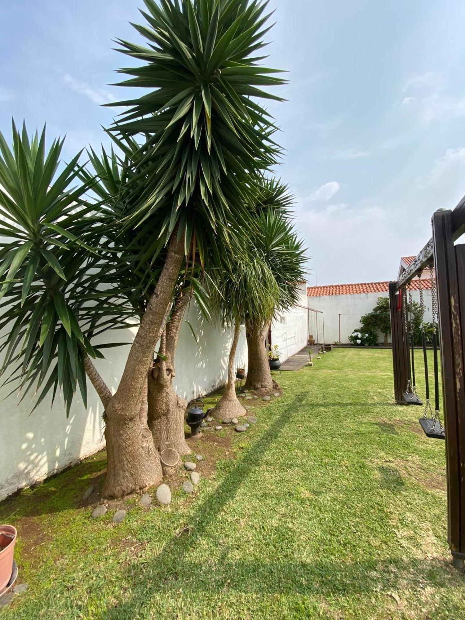 Apartamentos Sao Joao Horta  Exteriör bild