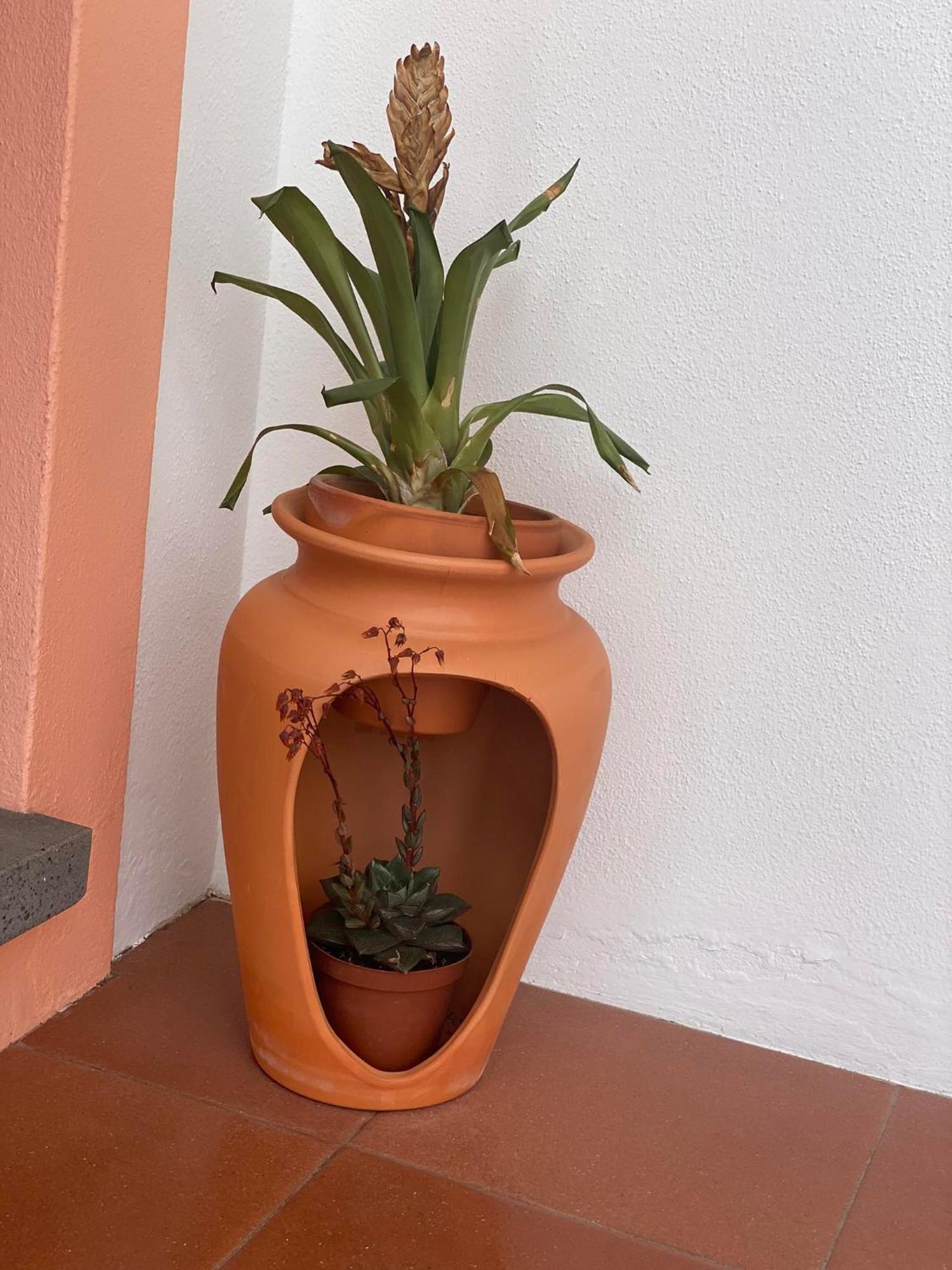 Apartamentos Sao Joao Horta  Exteriör bild