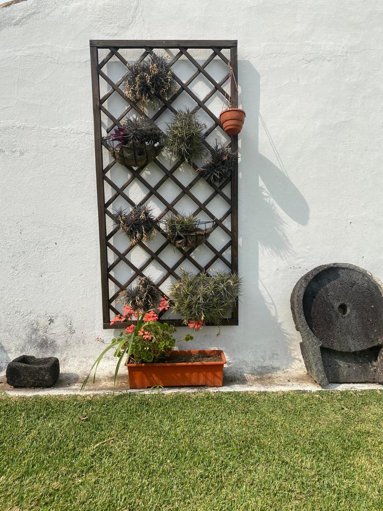 Apartamentos Sao Joao Horta  Exteriör bild